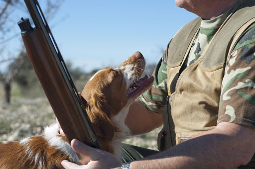 ¿Por qué deben participar los cazadores en la Ley de Bienestar Animal?